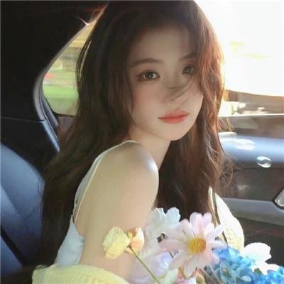 威灵顿战线