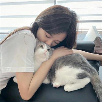 口碑佳作